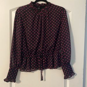 Ann Taylor long sleeve blouse with tie in front. Never one. NWT